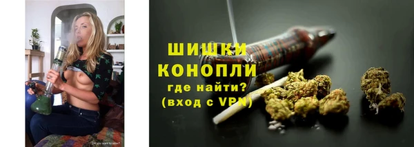 apvp Арсеньев
