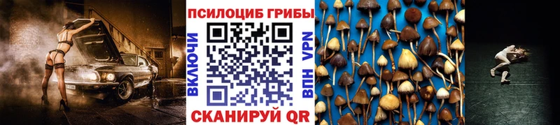 Галлюциногенные грибы MAGIC MUSHROOMS  KRAKEN tor  Пугачёв  сколько стоит 