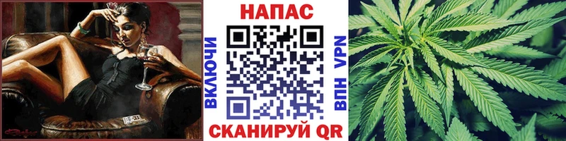 площадка официальный сайт  хочу   Пугачёв  Конопля конопля 